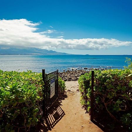 Maui Oceanfront Haven: Beachside Retreat with Turtle & Whale Watching Wailuku Exterior photo