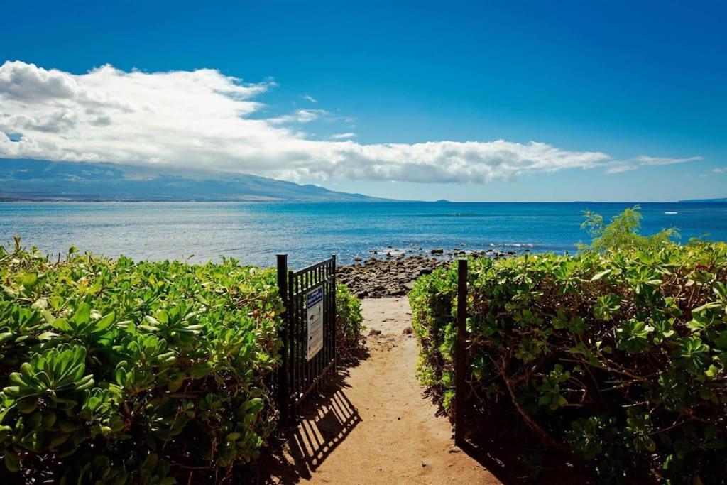 Maui Oceanfront Haven: Beachside Retreat with Turtle & Whale Watching Wailuku Exterior photo