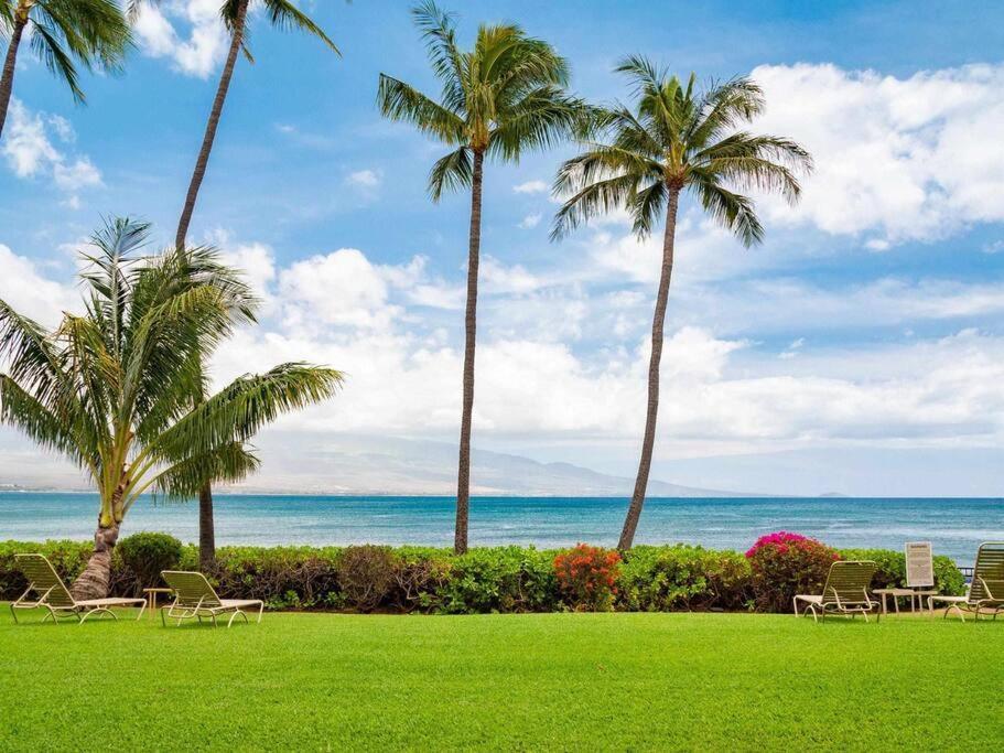 Maui Oceanfront Haven: Beachside Retreat with Turtle & Whale Watching Wailuku Exterior photo