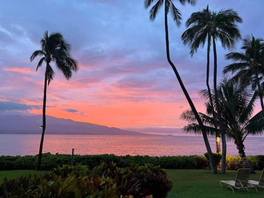 Maui Oceanfront Haven: Beachside Retreat with Turtle & Whale Watching Wailuku Exterior photo
