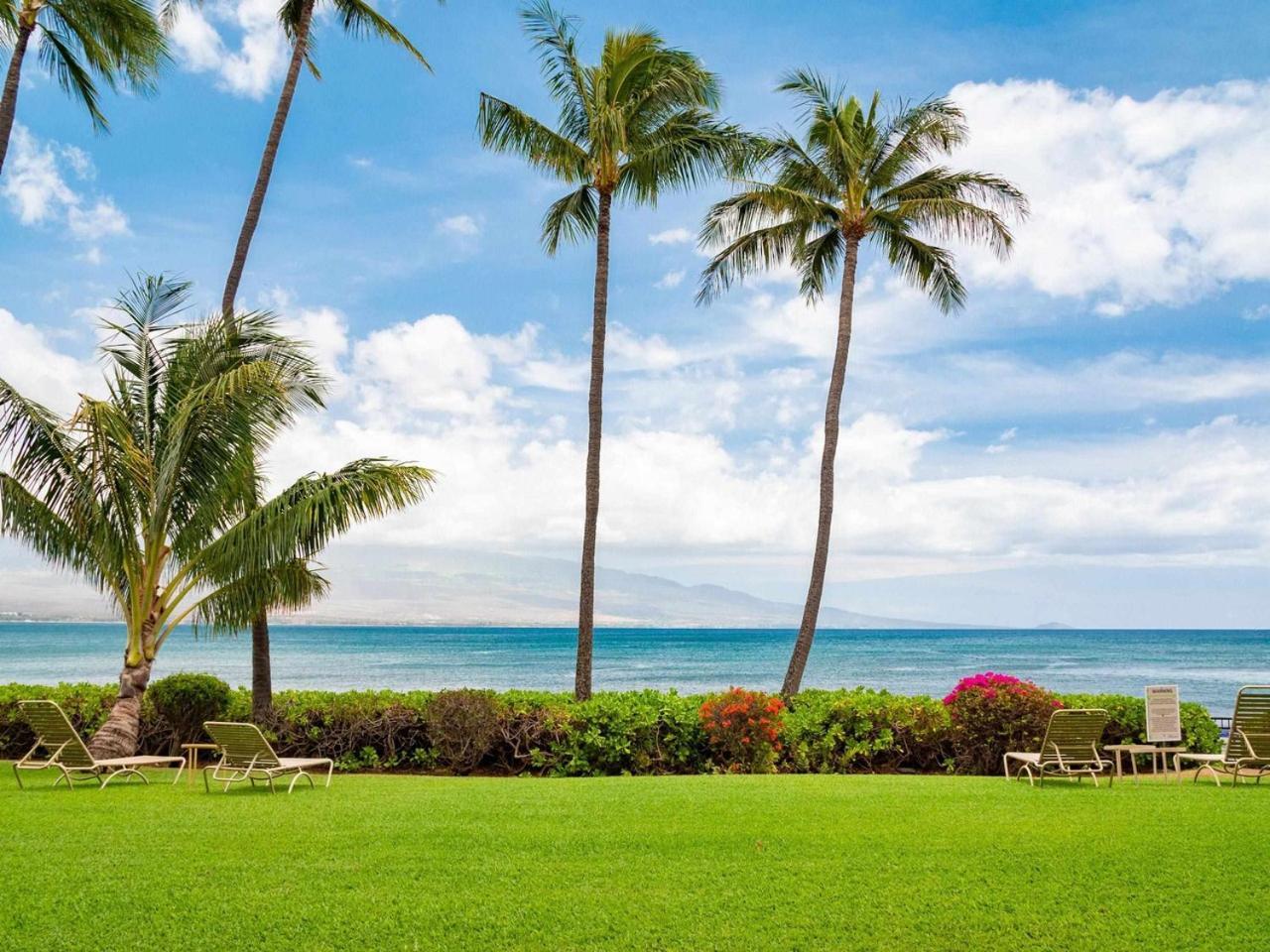 Maui Oceanfront Haven: Beachside Retreat with Turtle & Whale Watching Wailuku Exterior photo
